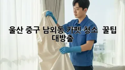 울산 중구 남외동 카펫 청소 ✨ 꿀팁 대방출! 🏠