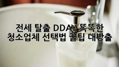 🏠✨ 전세 탈출 D-DAY! 똑똑한 청소업체 선택법 꿀팁 대방출