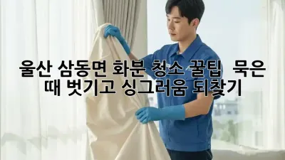 울산 삼동면 화분 청소 꿀팁! 🌿 묵은 때 벗기고 싱그러움 되찾기 ✨