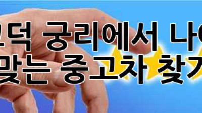 평택 고덕 궁리에서 나에게 딱 맞는 중고차 찾기!