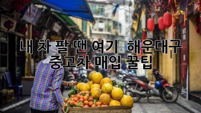 내 차 팔 땐 여기! 🚗 해운대구 중고차 매입 꿀팁 💯