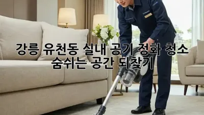 강릉 유천동 실내 공기 정화 청소: 숨쉬는 공간 되찾기